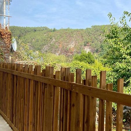 Magnifique Appartement 2/4 Pers - Le Saint Leo מראה חיצוני תמונה