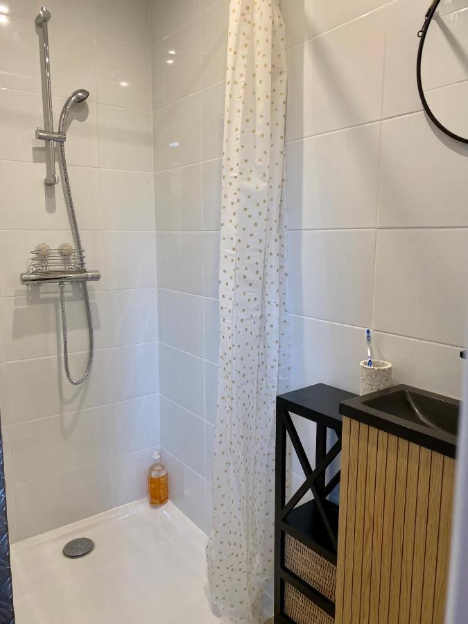 Magnifique Appartement 2/4 Pers - Le Saint Leo מראה חיצוני תמונה