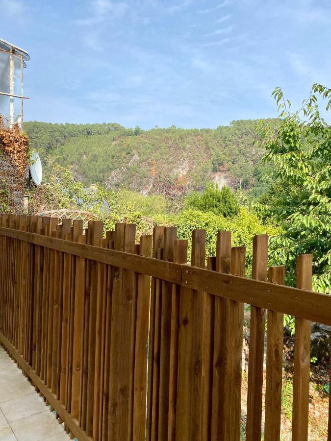 Magnifique Appartement 2/4 Pers - Le Saint Leo מראה חיצוני תמונה